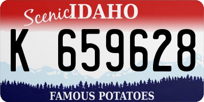 ID license plate K659628