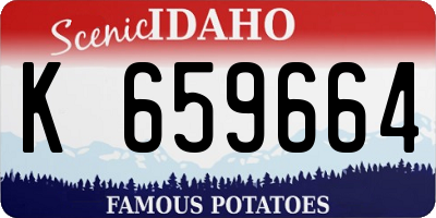 ID license plate K659664