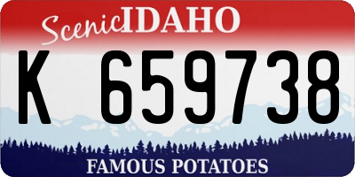ID license plate K659738