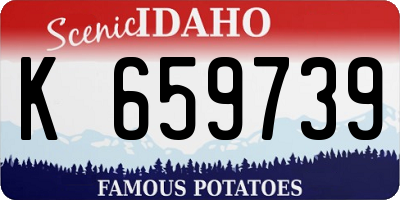 ID license plate K659739