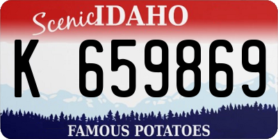 ID license plate K659869