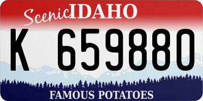 ID license plate K659880
