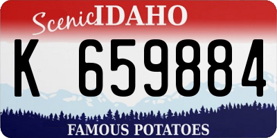 ID license plate K659884