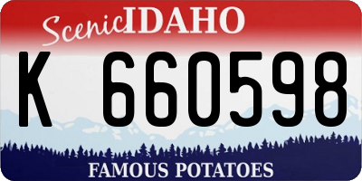 ID license plate K660598