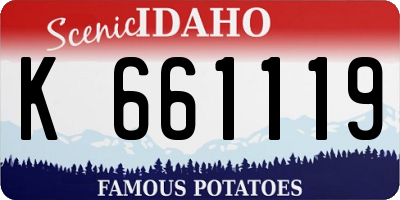 ID license plate K661119