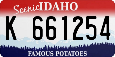 ID license plate K661254