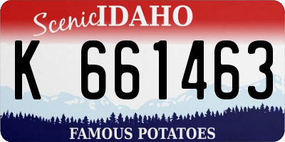 ID license plate K661463