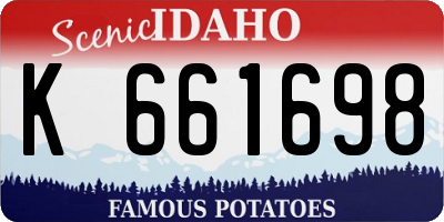 ID license plate K661698