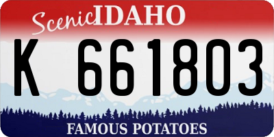 ID license plate K661803