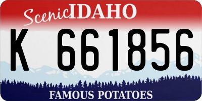 ID license plate K661856