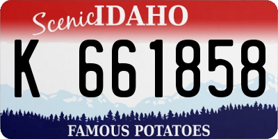 ID license plate K661858