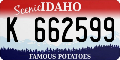 ID license plate K662599