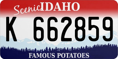 ID license plate K662859