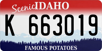 ID license plate K663019