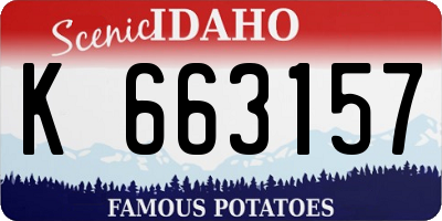 ID license plate K663157