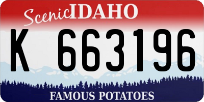 ID license plate K663196