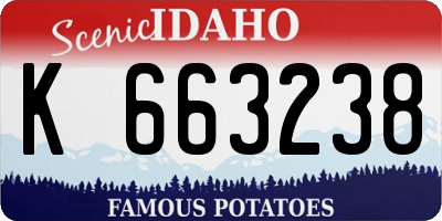 ID license plate K663238