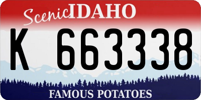 ID license plate K663338
