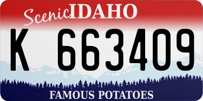ID license plate K663409