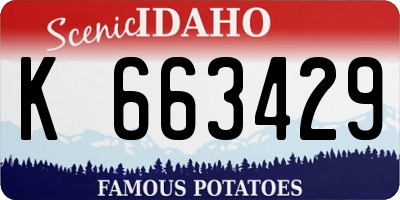 ID license plate K663429