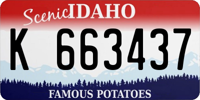 ID license plate K663437