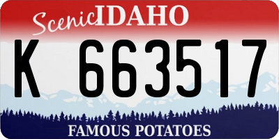 ID license plate K663517