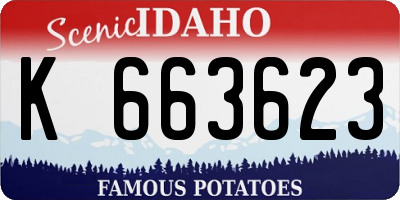 ID license plate K663623