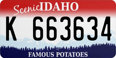 ID license plate K663634