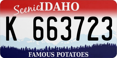 ID license plate K663723