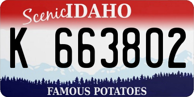 ID license plate K663802