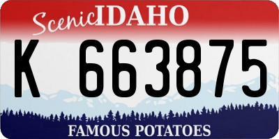 ID license plate K663875