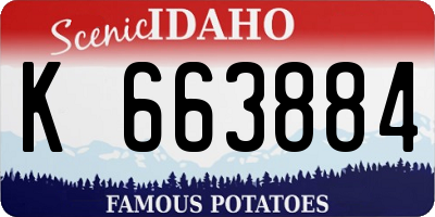 ID license plate K663884