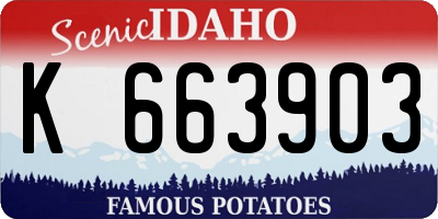 ID license plate K663903