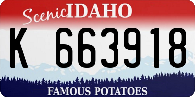 ID license plate K663918