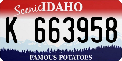 ID license plate K663958