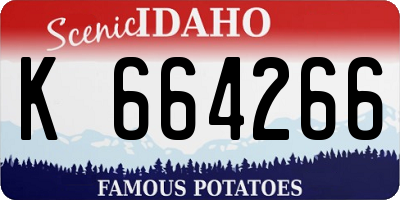 ID license plate K664266