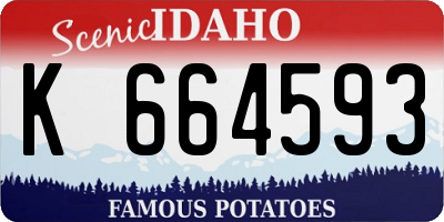 ID license plate K664593