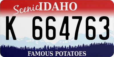 ID license plate K664763