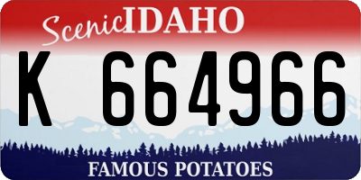ID license plate K664966