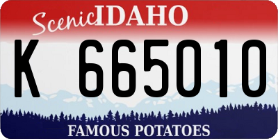 ID license plate K665010