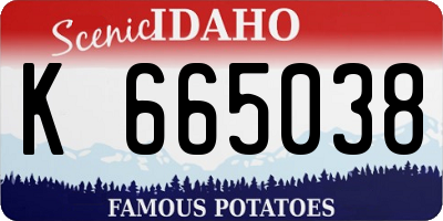 ID license plate K665038