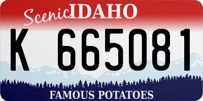 ID license plate K665081