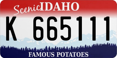 ID license plate K665111
