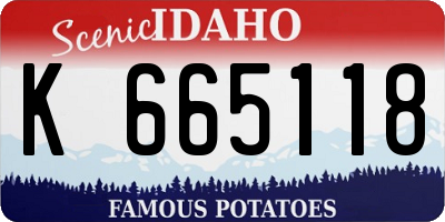 ID license plate K665118
