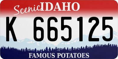 ID license plate K665125