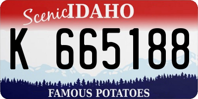 ID license plate K665188