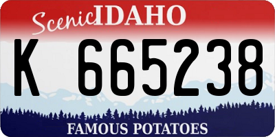 ID license plate K665238