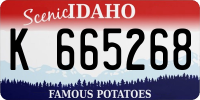 ID license plate K665268
