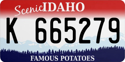 ID license plate K665279