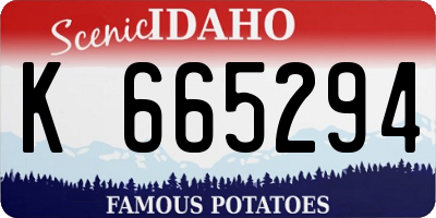 ID license plate K665294
